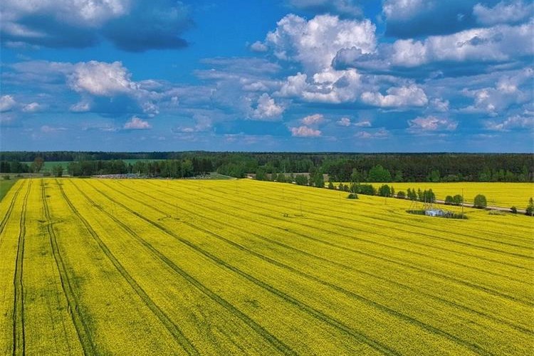 Slika /slike/Priopcenja/Foto_NOVO PRIOPĆENJA/Poljoprivreda/ef45hg54hwegf (131).jpg